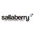 Cabinet Sallaberry logo