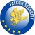 FALCON SECURITY logo