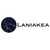 Laniakea LLC logo