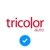 Tricolor Auto Group, LLC logo