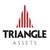 Triangle Assets logo