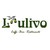 Lulivo Group logo