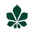 Chestnut Park® Real Estate Limited, Brokerage logo