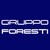 GRUPPO FORESTI Srl logo