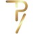 TPV CPA INC. logo