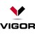Vigor, LLC logo