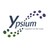 Ypsium - Together on the road logo