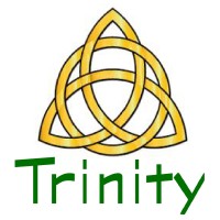 Trinity Consulting Group logo