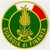 GUARDIA DI FINANZA logo