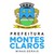 Prefeitura Municipal de Montes Claros logo