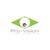 Pro-Vision Instruments logo