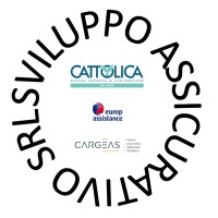 Sviluppo Assicurativo logo