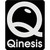 Qinesis - The Business Growth Company logo