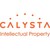 CALYSTA NV logo