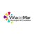 Municipalidad de Viña del Mar logo