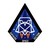 Supaero Space Section logo