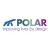 Polar NE logo