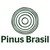 Logo di Pinus Brasil