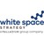 White Space Strategy logo