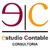 Estudio Contable logo