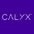 LIQUENT, a Calyx Company logo