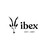 Ibex Outdoor Clothing logo