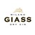 Milano Dry Gin S.r.l - GIASS logo