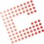 CODECOR logo