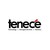 Tenece Professional Services logo