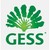 GESS - German European School Singapore logo