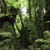 Puzzlewood logo