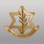 Israel Defense Forces logo