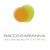 Bacco e Arianna - IQC logo