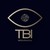 TBI Segurança logo