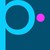 PinPoint Data Science logo