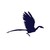 Archax logo