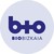IIS Biobizkaia logo