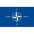 NATO Science & Technology Organization logo