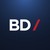 BD Consultores logo
