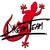 Dream Team Car logo