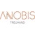 ANOBIS AG logo