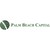 Palm Beach Capital logo