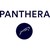 Panthera Investment GmbH logo