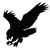 Riverhawk Company logo