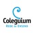 Rede de Ensino Coleguium logo
