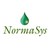 Normasys logo