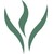 Thielen & Associates, Inc. logo