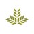 Northeast Georgia Health System logo
