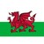 Wales logo