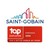 Saint-Gobain Indonesia logo